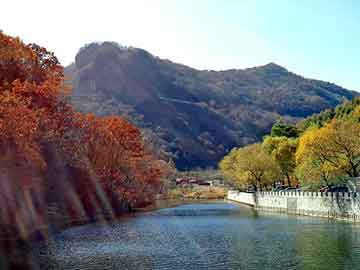 日韩中文书幕在线，圆孔钢板网